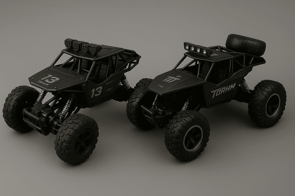 4WD RC Buggy 2.4G – 1:12 / 1:16 Tout-terrain